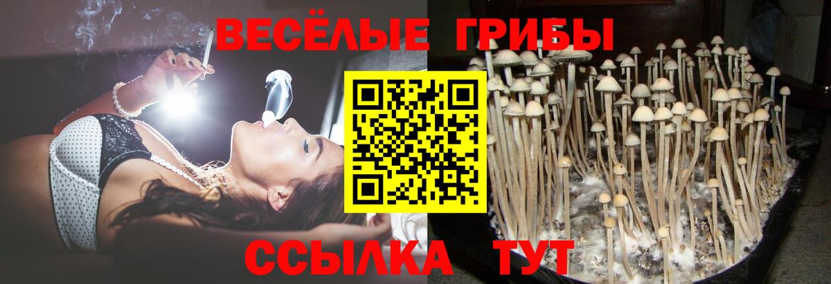 Галлюциногенные грибы Magic Shrooms Иркутск